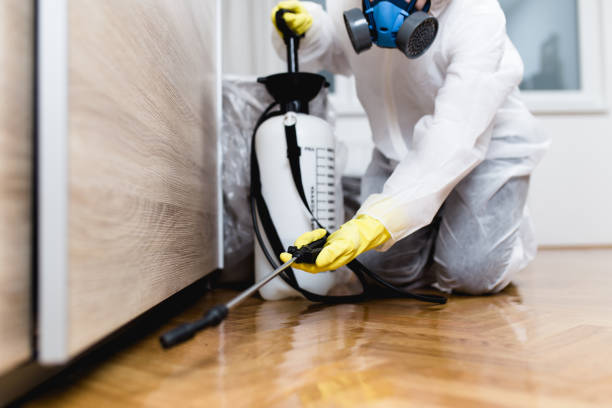 Best Wasp Removal Services  in Lake Stickney, WA
