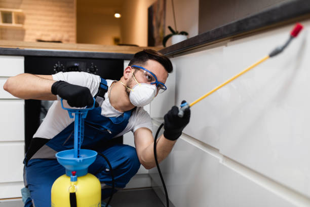 Trusted Lake Stickney, WA Pest Control Experts