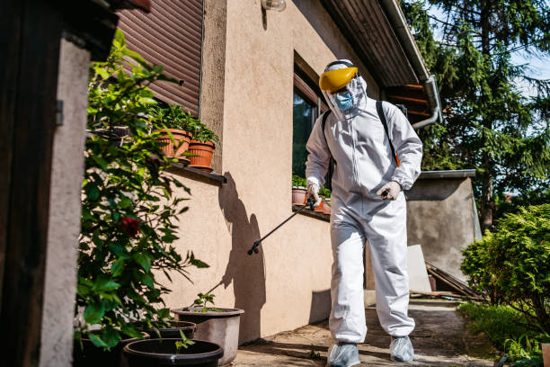 Best Cockroach Control Services  in Lake Stickney, WA