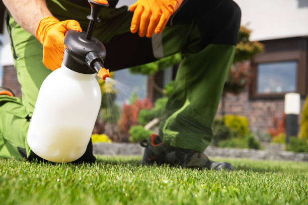 Professional Pest Control in Lake Stickney, WA