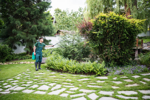 Best Best Pest Control Companies  in Lake Stickney, WA