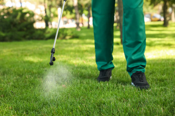 Best Residential Pest Control  in Lake Stickney, WA