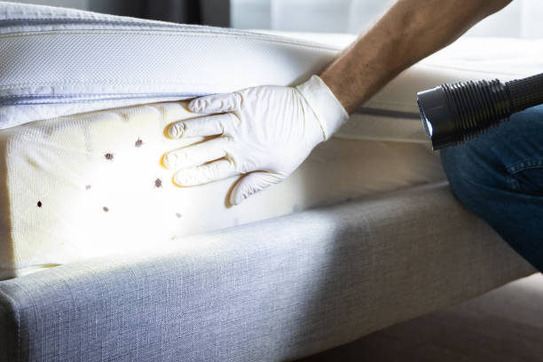 Best Mosquito Control Services  in Lake Stickney, WA