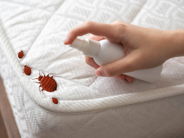 Best Pest Control Near Me  in Lake Stickney, WA